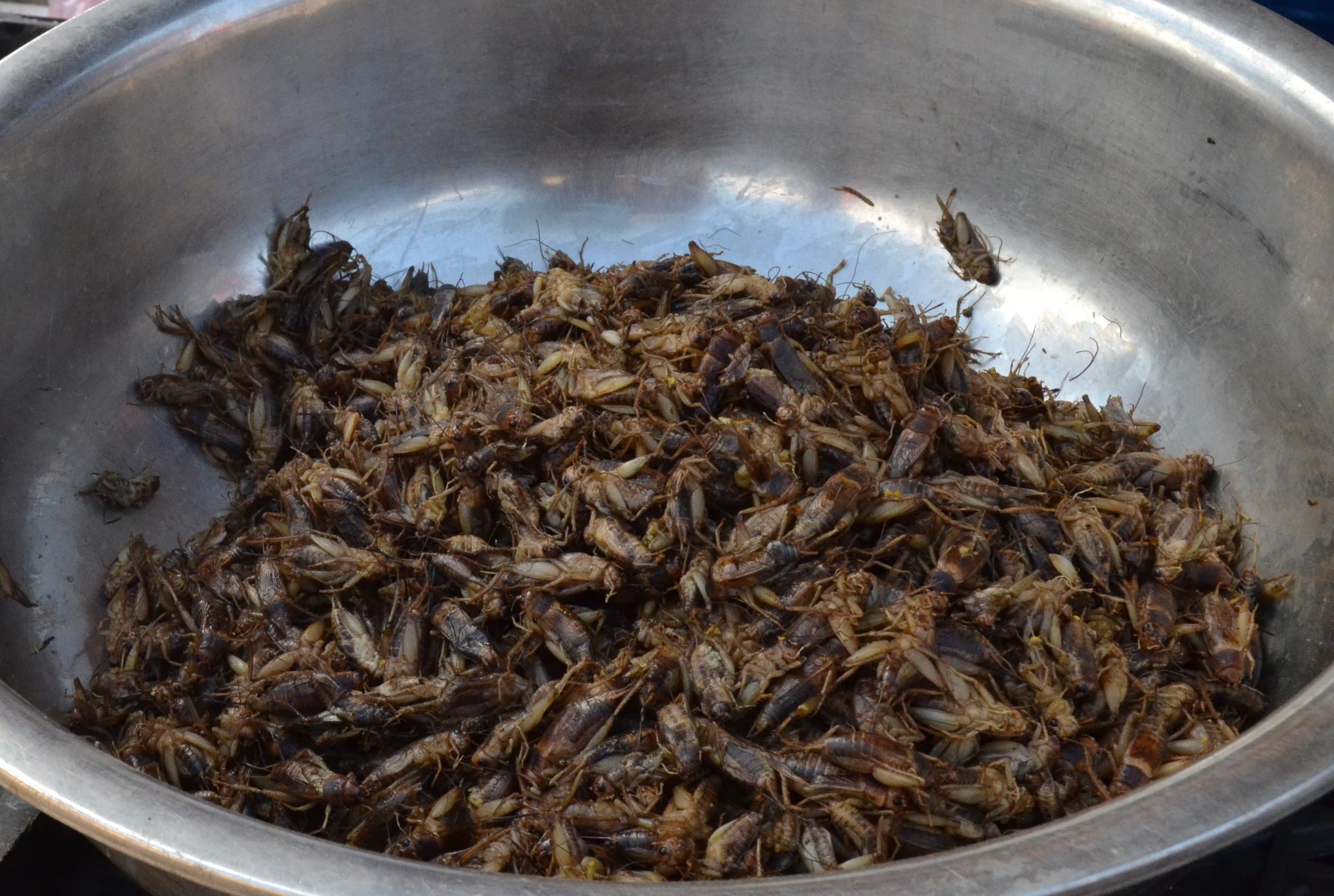 Háo hức chợ phiên xứ Mường