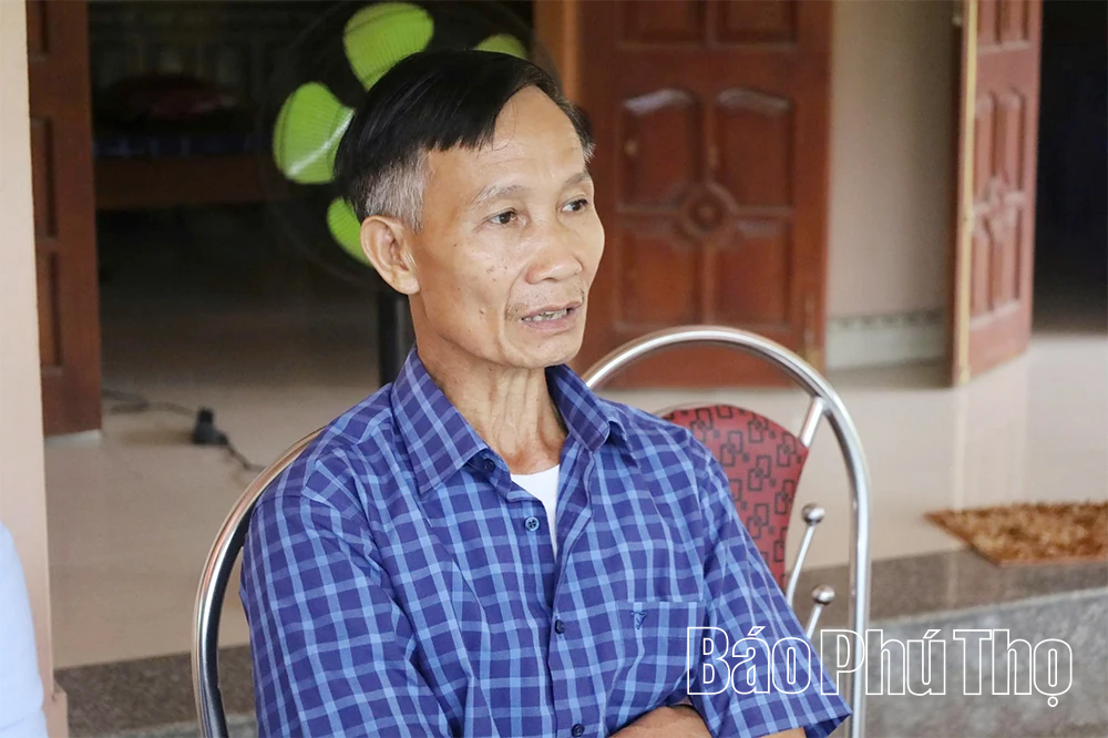 Nâng giá trị, vực danh tiếng bưởi đặc sản Bằng Luân