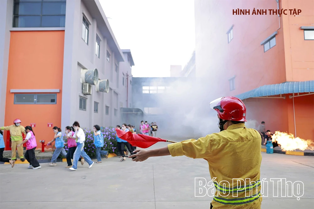 Thực tập hôm nay, an toàn ngày mai