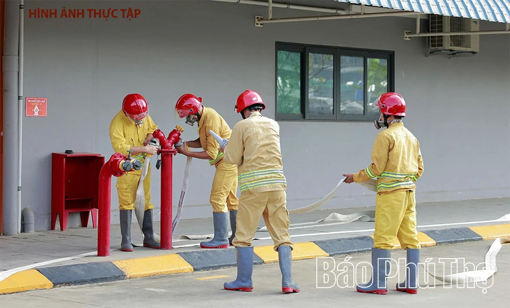 Thực tập hôm nay, an toàn ngày mai