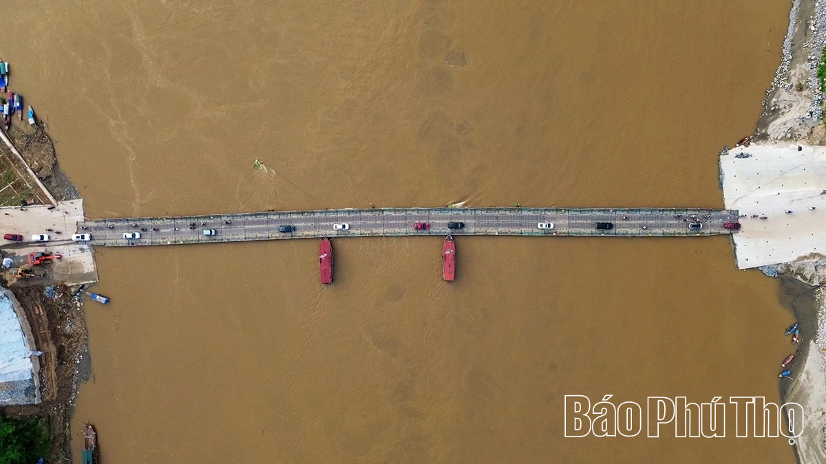 Nhịp cầu quân dân