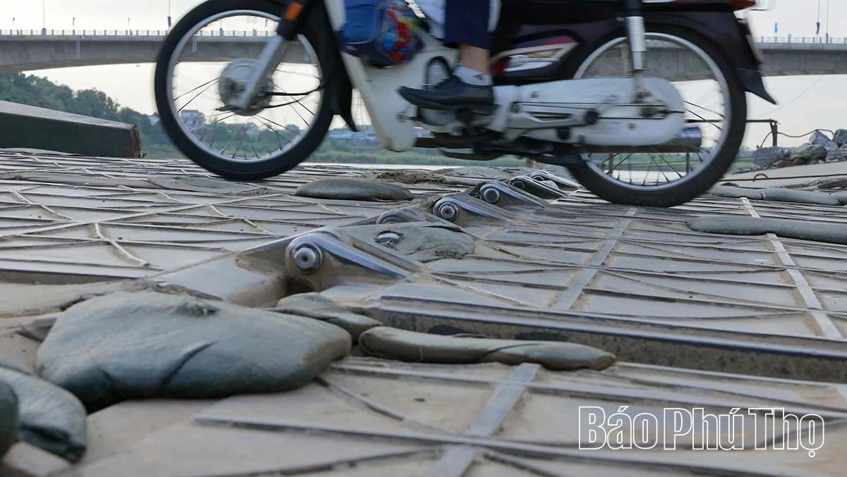 Nhịp cầu quân dân