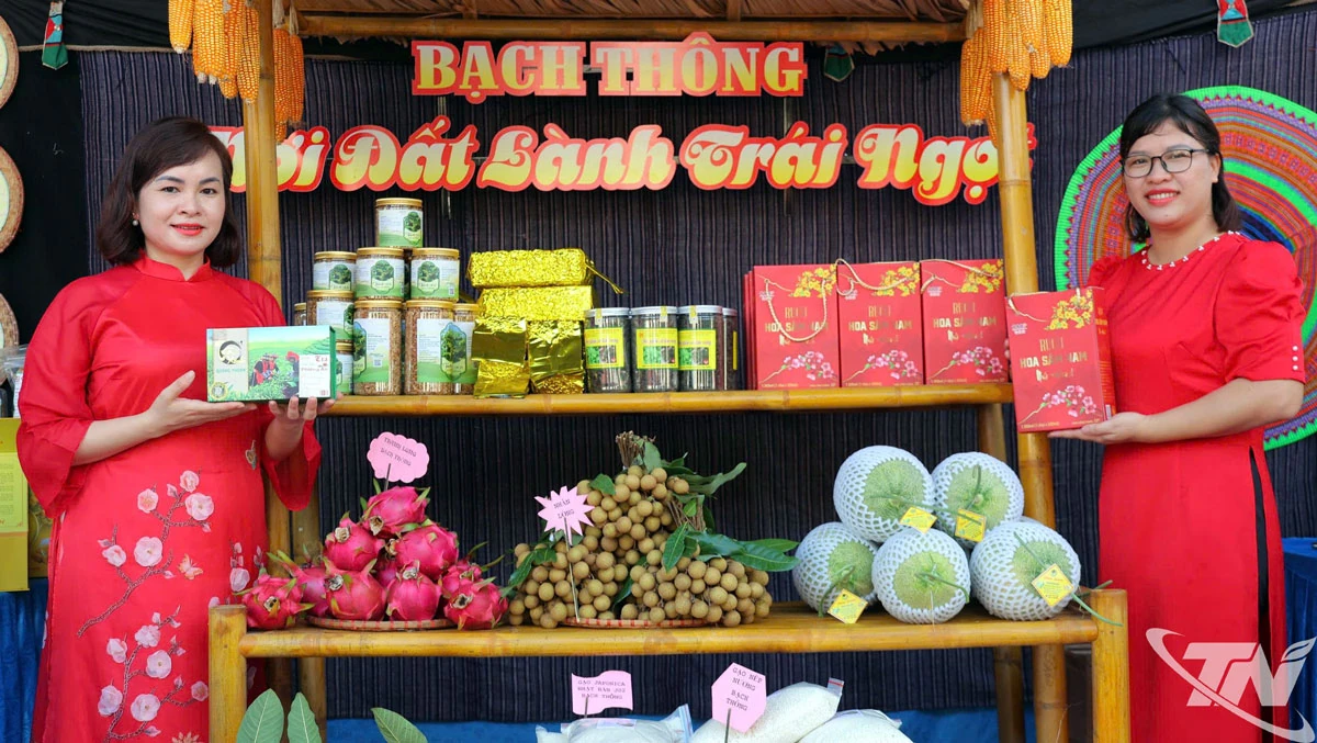 Nhịp sống mới ở những miền quê cũ