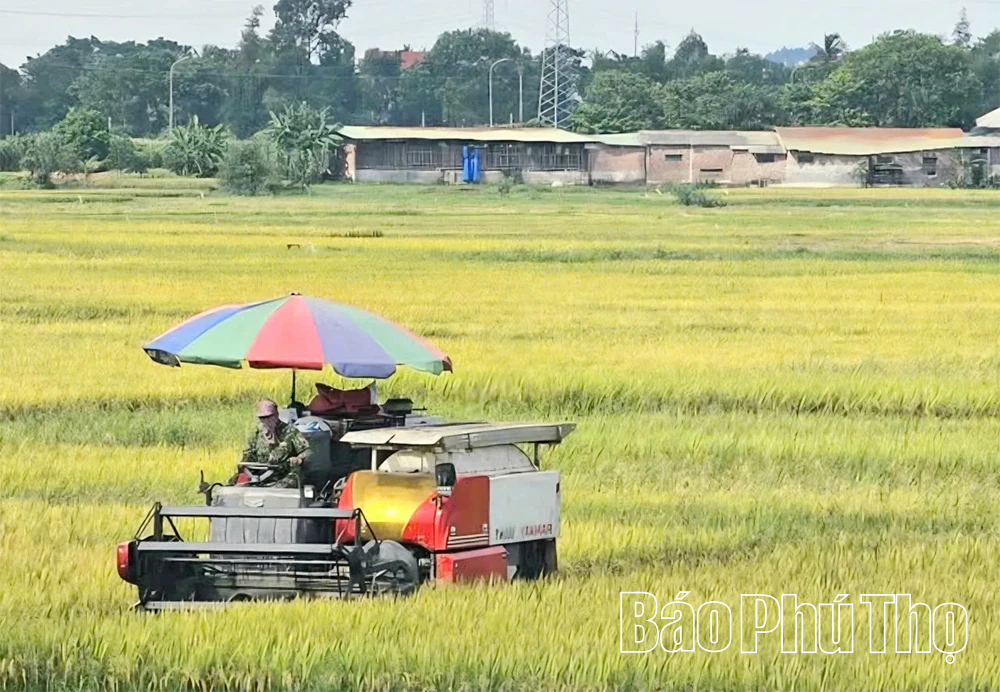 Xã Liên Hòa - Khát vọng bứt phá từ sức mạnh đoàn kết