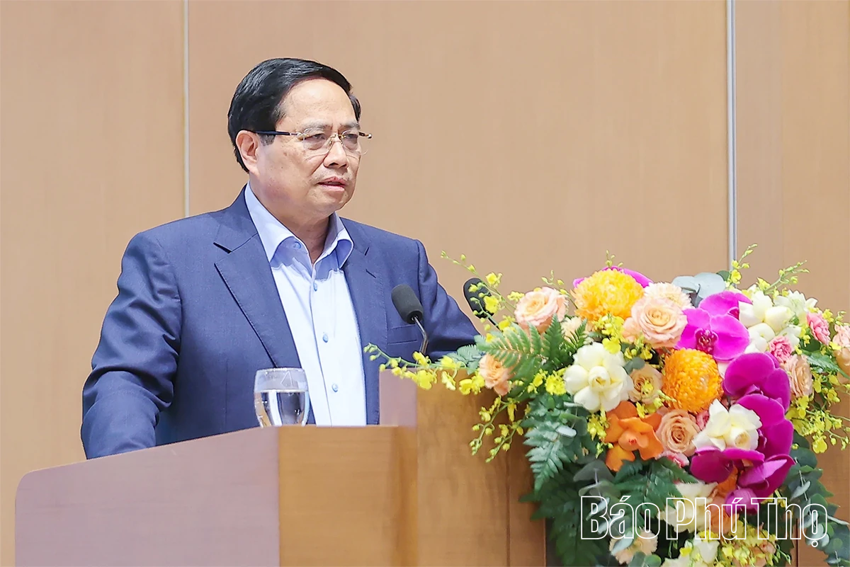 Tập trung thúc đẩy phát triển khoa học công nghệ, đổi mới sáng tạo, chuyển đổi số