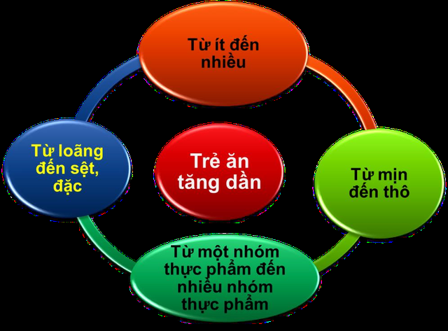Nắm vững 5 nguyên tắc vàng để hành trình ăn dặm của bé thành công- Ảnh 1. Nắm vững 5 nguyên tắc vàng để hành trình ăn dặm của bé thành công