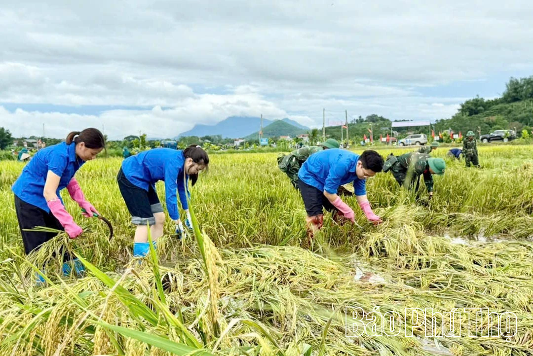 Áo xanh giúp dân trong bão