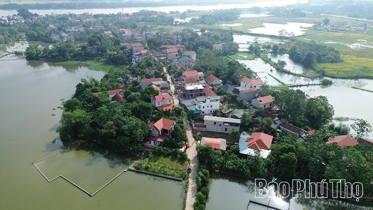 Đồng thuận cho mục tiêu chung