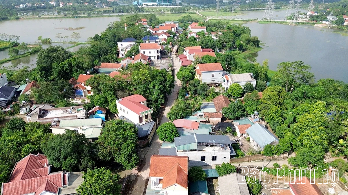 Đồng thuận cho mục tiêu chung