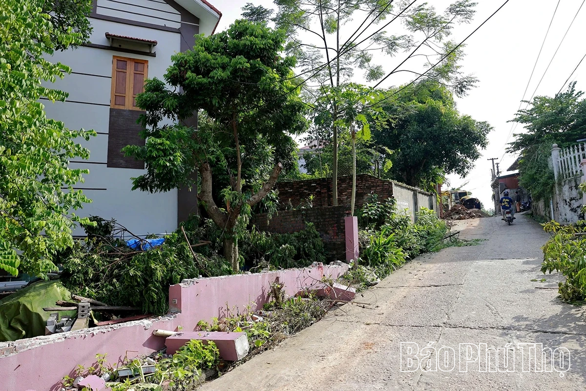 Đồng thuận cho mục tiêu chung