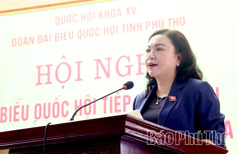 Đoàn đại biểu Quốc hội tỉnh tiếp xúc cử tri trước Kỳ họp thứ 10, Quốc hội khóa XV