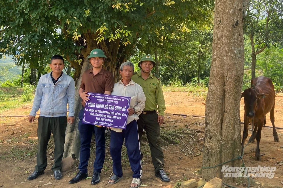 Rừng cộng đồng mang lại sinh kế cho đồng bào Vân Kiều