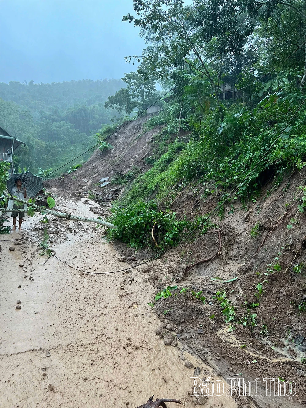 Xã Tân Mai di dời khẩn cấp 36 hộ dân nằm trong vùng nguy cơ sạt lở và ảnh hưởng của lũ bão