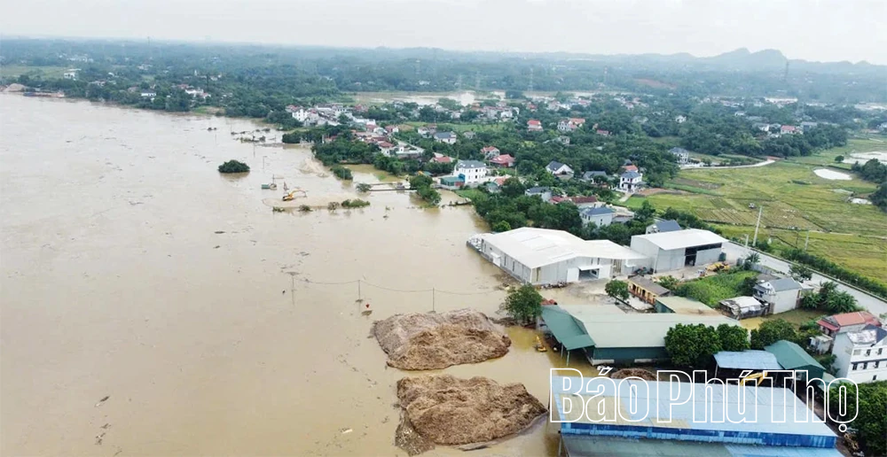 Nước sông Lô lên cao, nhiều tài sản của người dân và doanh nghiệp ngập sâu
