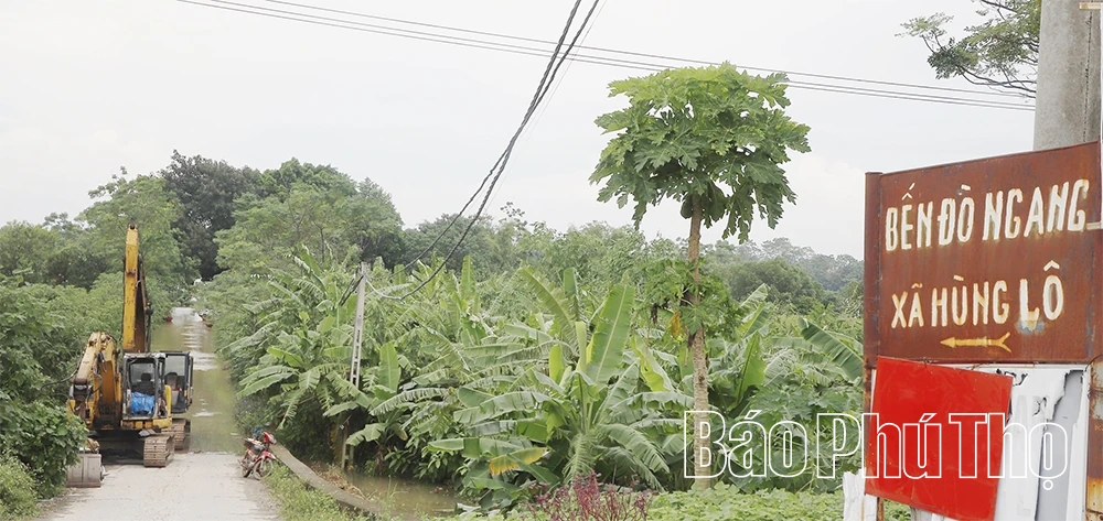 Nước sông Lô lên cao, nhiều tài sản của người dân và doanh nghiệp ngập sâu