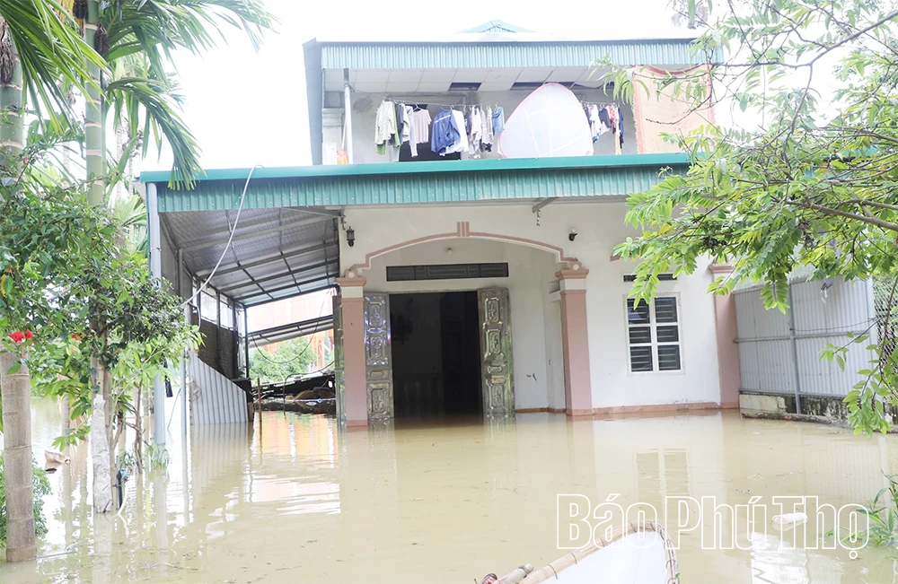 Nước sông Lô lên cao, nhiều tài sản của người dân và doanh nghiệp ngập sâu