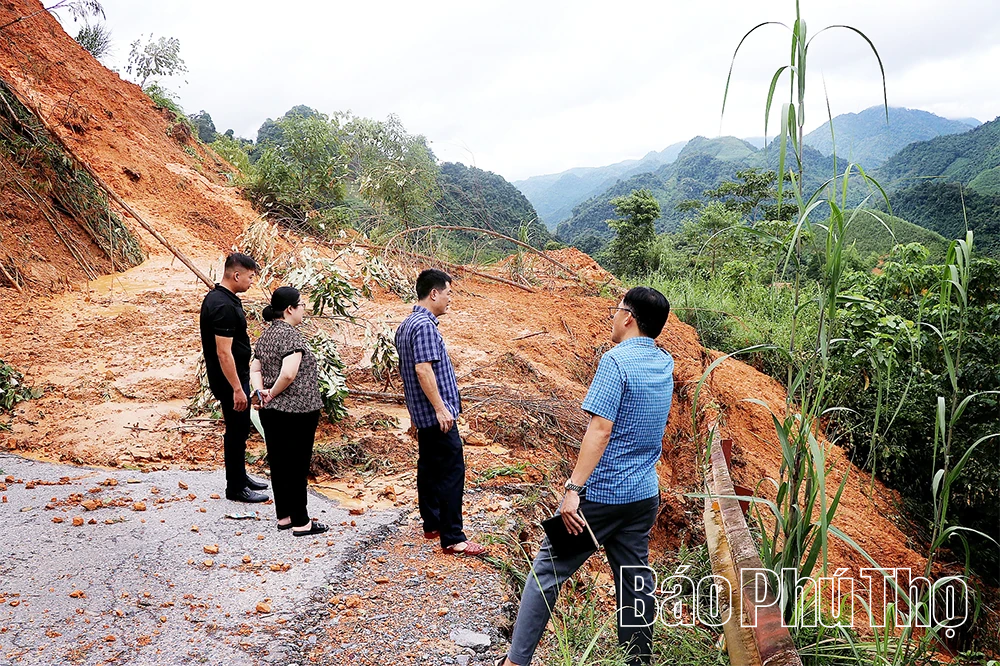 Ghi trên tuyến “độc đạo” 433