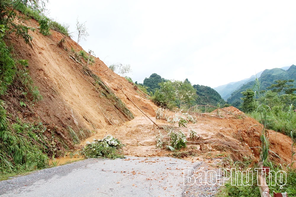 Ghi trên tuyến “độc đạo” 433