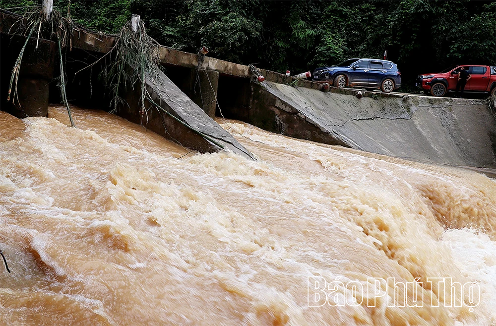 Ghi trên tuyến “độc đạo” 433