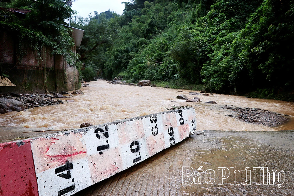 Ghi trên tuyến “độc đạo” 433