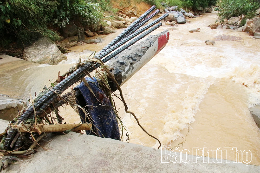 Ghi trên tuyến “độc đạo” 433