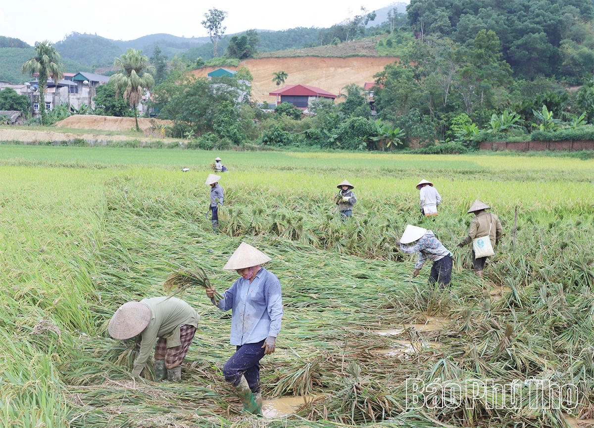 Chủ tịch UBND tỉnh Trần Duy Đông kiểm tra, chỉ đạo khắc phục hậu quả hoàn lưu bão số 10
