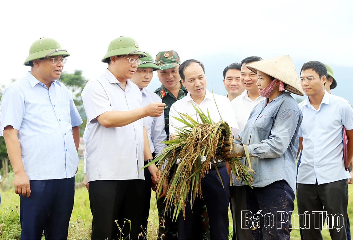 Chủ tịch UBND tỉnh Trần Duy Đông kiểm tra, chỉ đạo khắc phục hậu quả hoàn lưu bão số 10