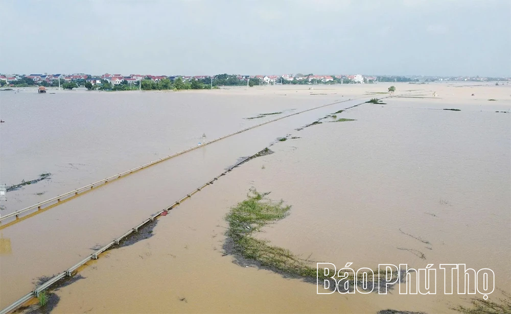 Đường tỉnh 305C và nhiều khu dân cư xã Sơn Đông vẫn ngập trong nước