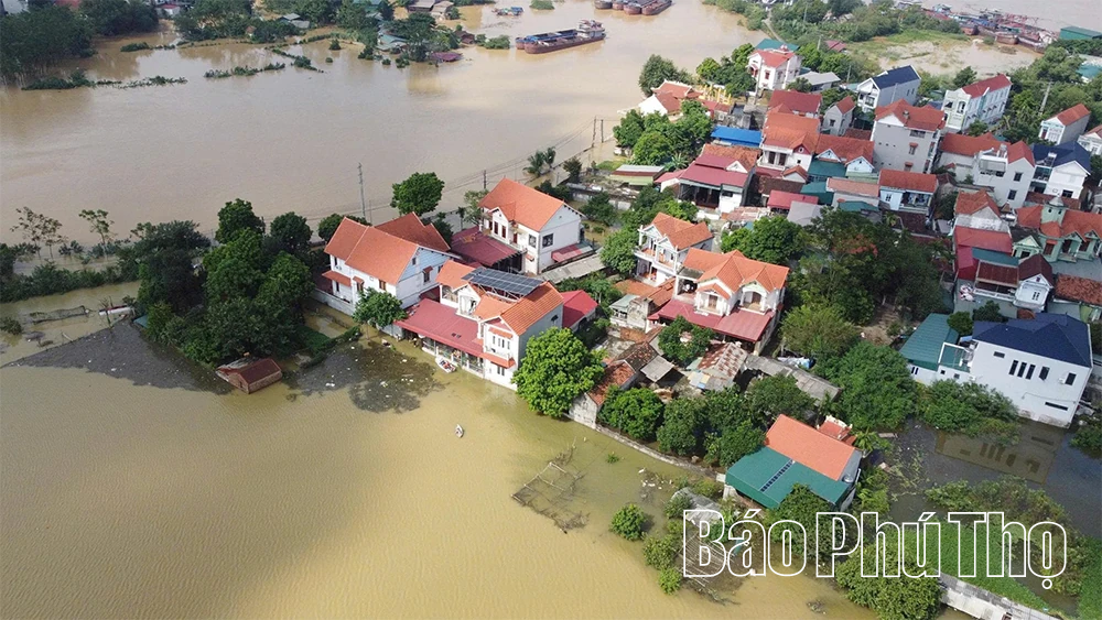 Đường tỉnh 305C và nhiều khu dân cư xã Sơn Đông vẫn ngập trong nước