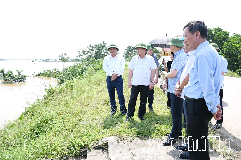 Kiểm tra công tác khắc phục hậu quả hoàn lưu bão số 10 tại khu vực Vĩnh Phúc