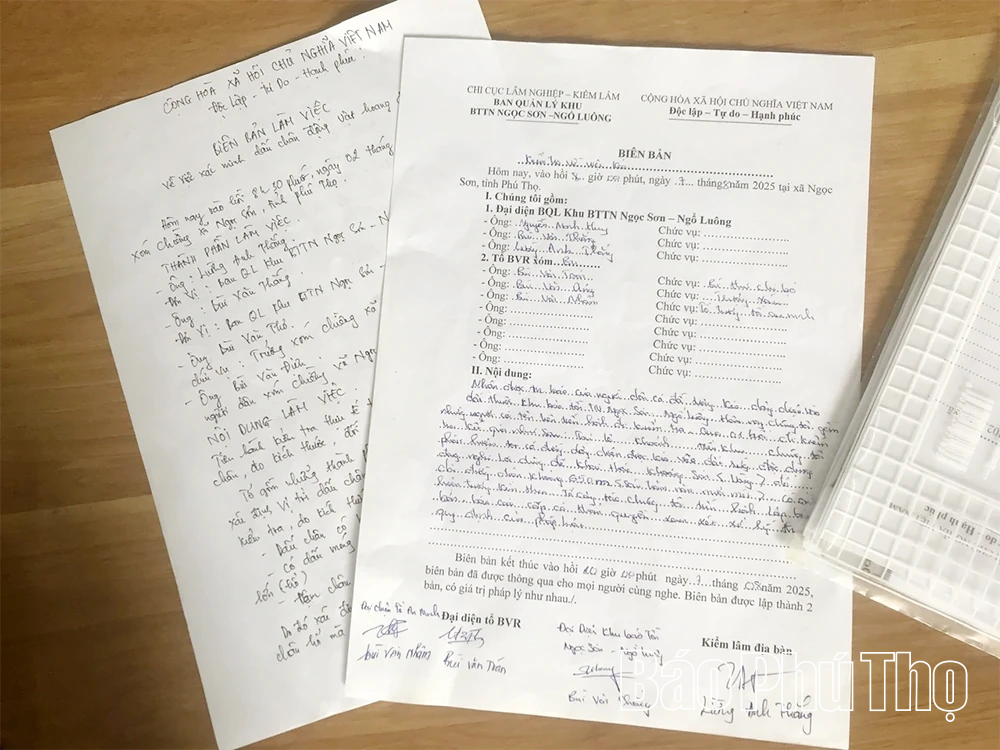 Tin đồn hổ xuất hiện ở Ngọc Sơn: Cơ quan chức năng, chính quyền khẳng định không có cơ sở