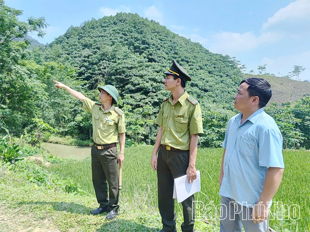 Chung sức giữ rừng giáp ranh