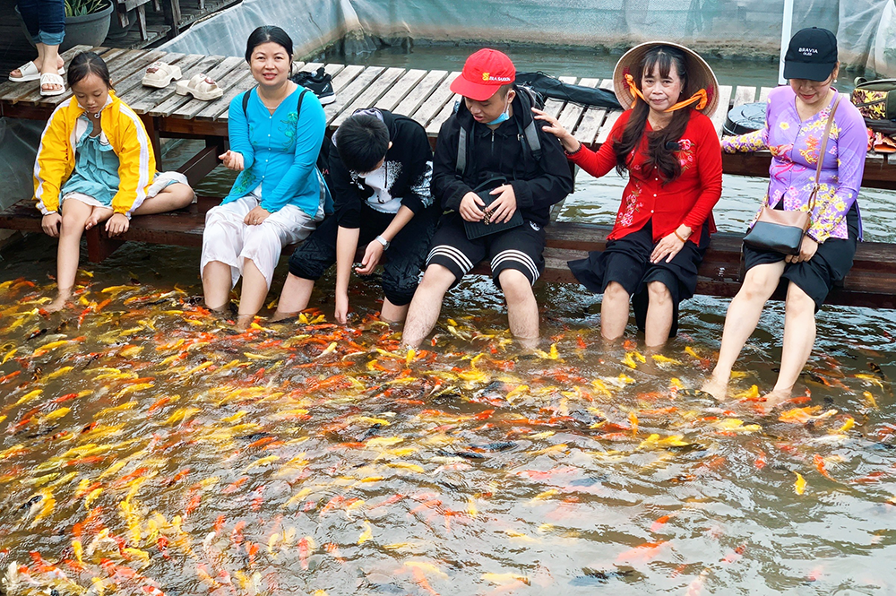 Độc lạ sản phẩm du lịch từ những vật nuôi miệt vườn sông nước