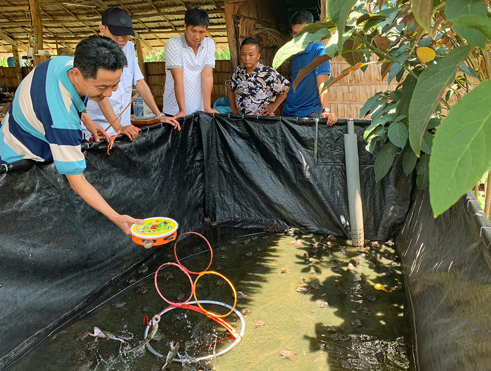 Độc lạ sản phẩm du lịch từ những vật nuôi miệt vườn sông nước