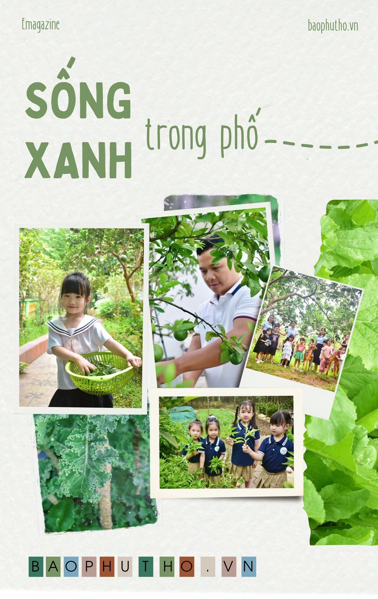 Sống xanh trong phố