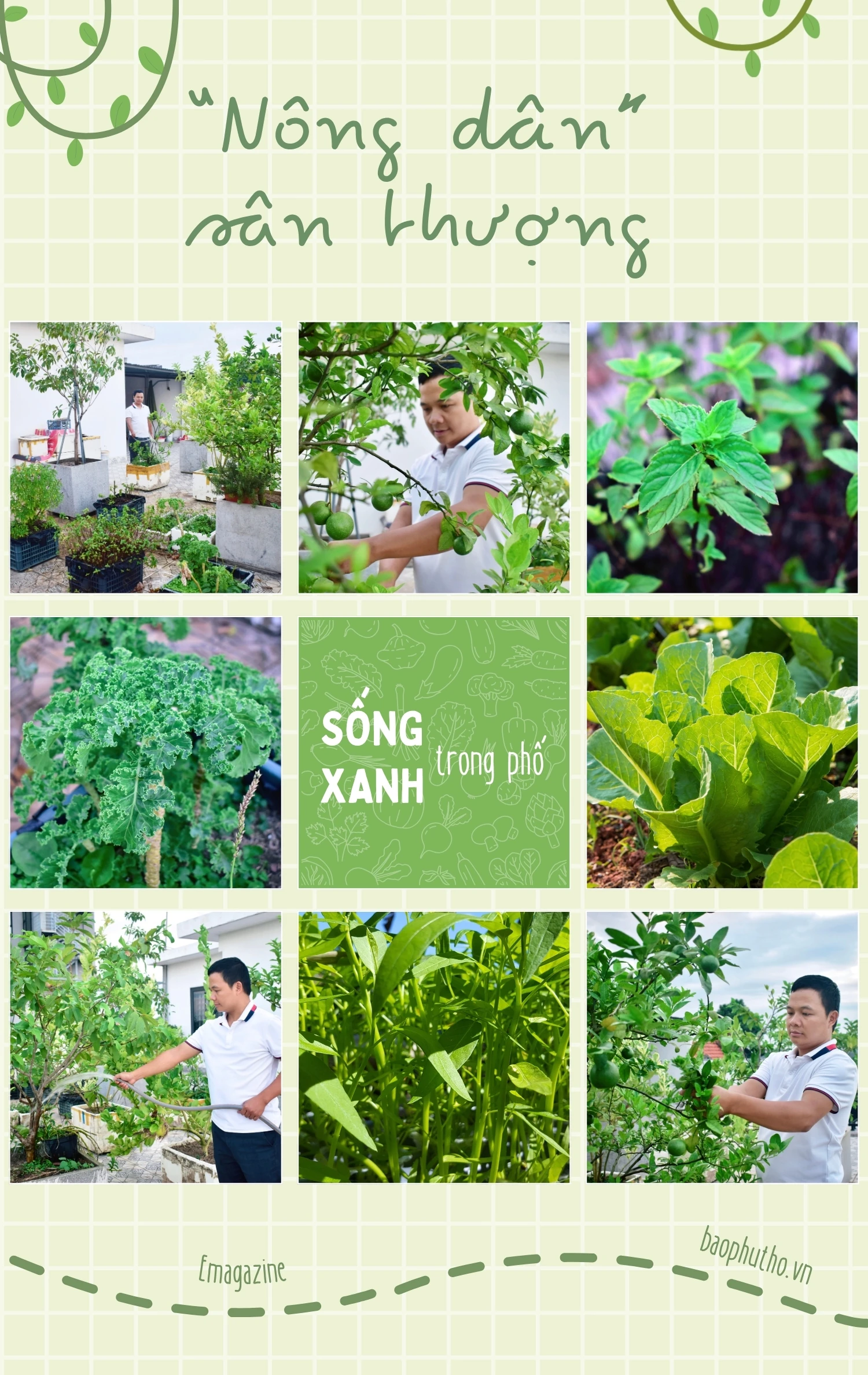 Sống xanh trong phố