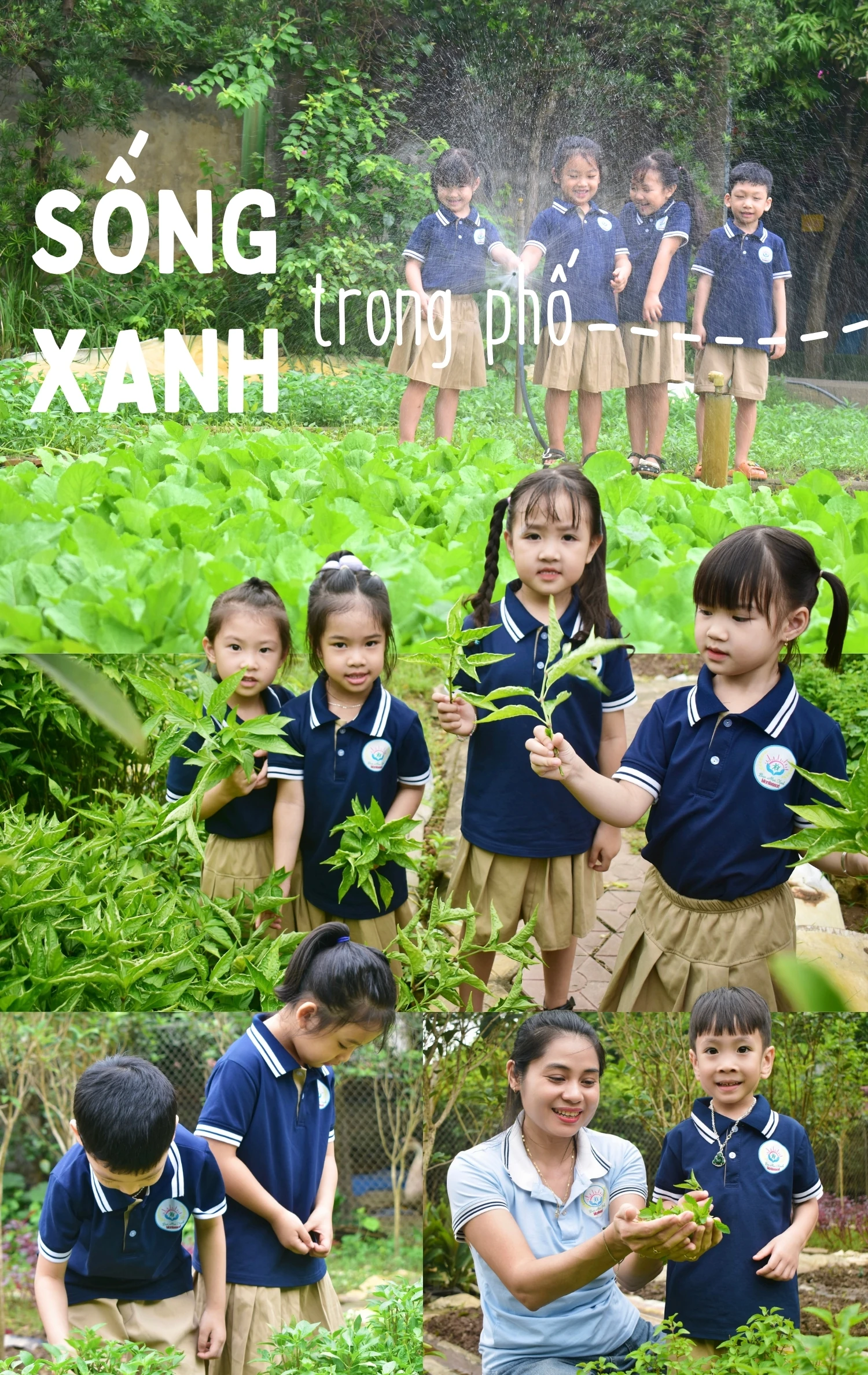 Sống xanh trong phố