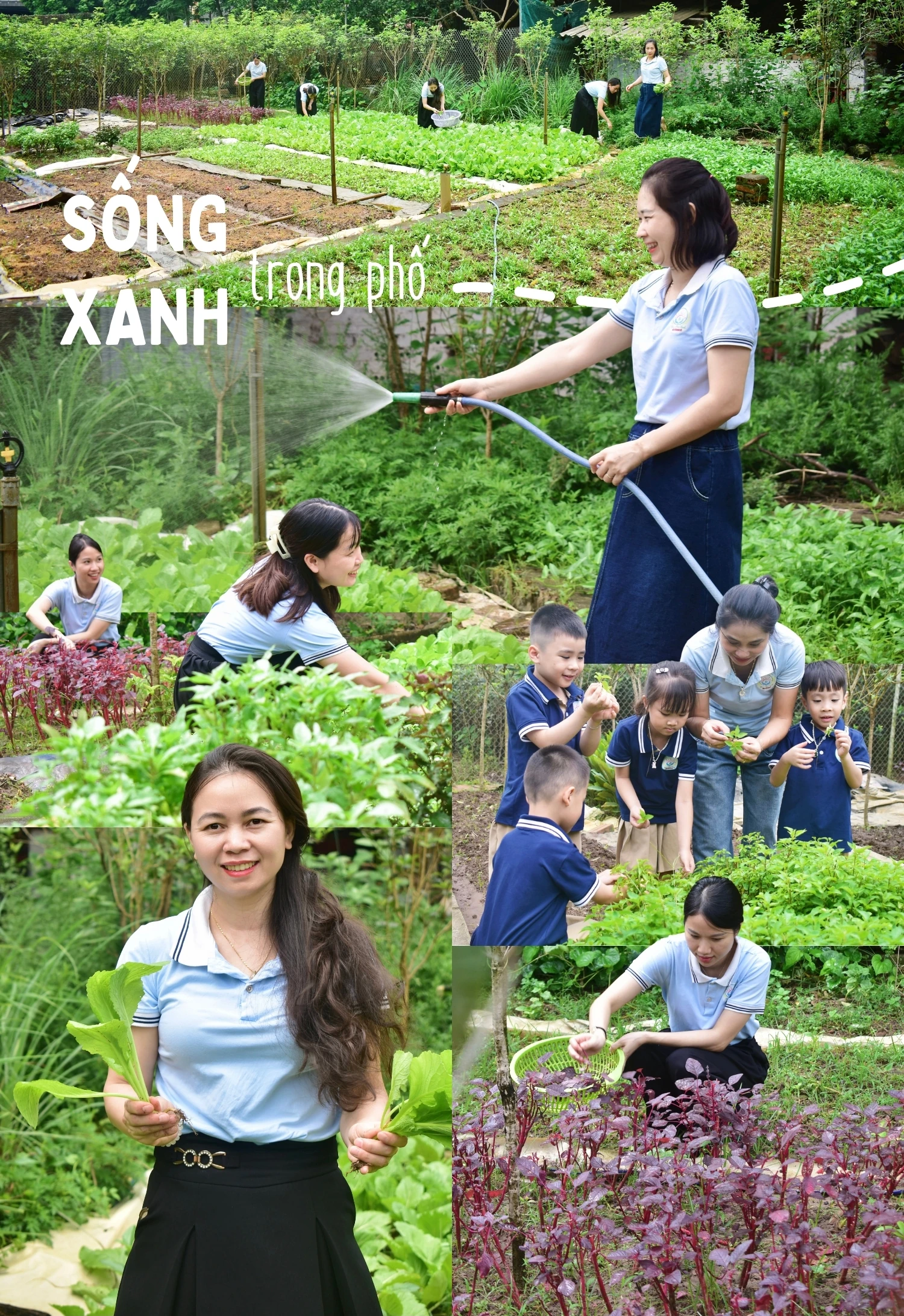 Sống xanh trong phố