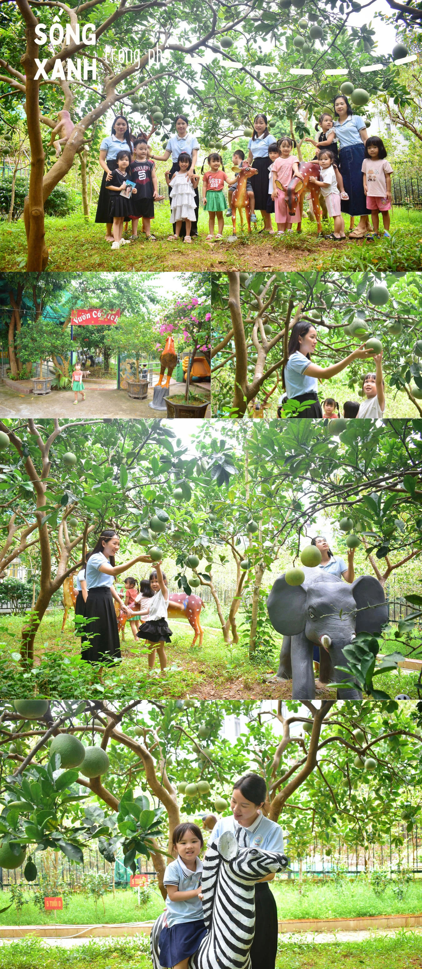 Sống xanh trong phố