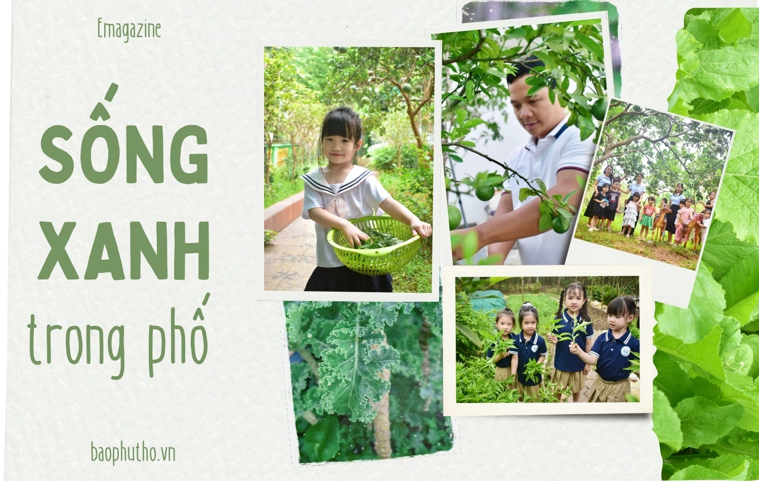 Sống xanh trong phố