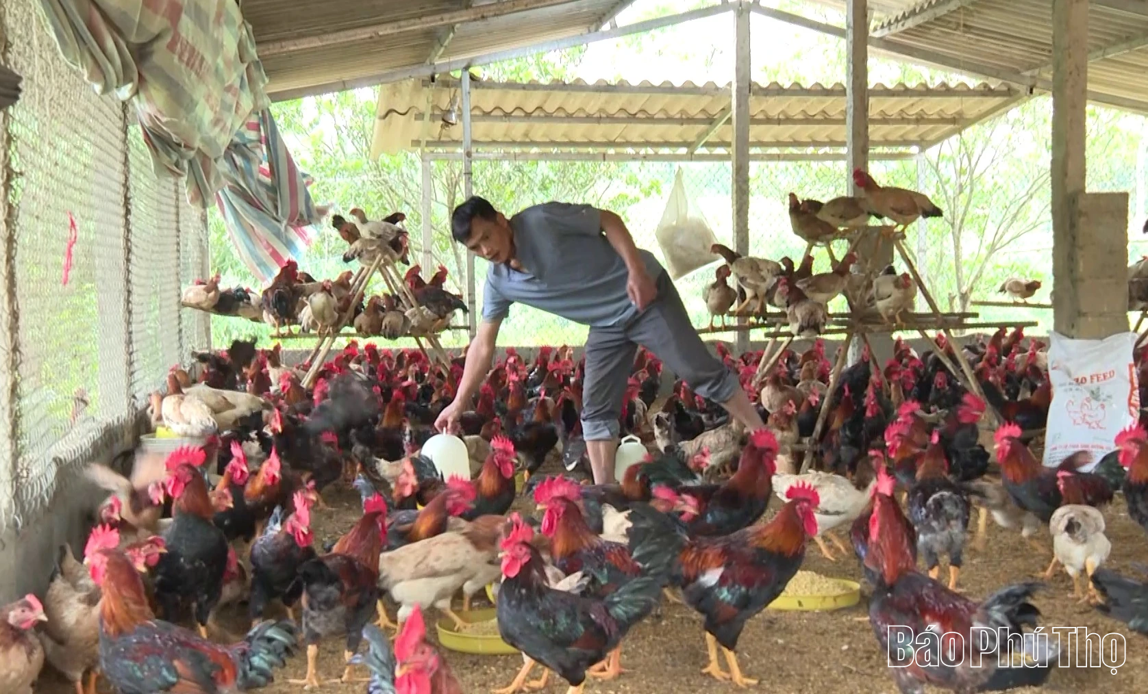 Đổi mới tư duy để thoát nghèo