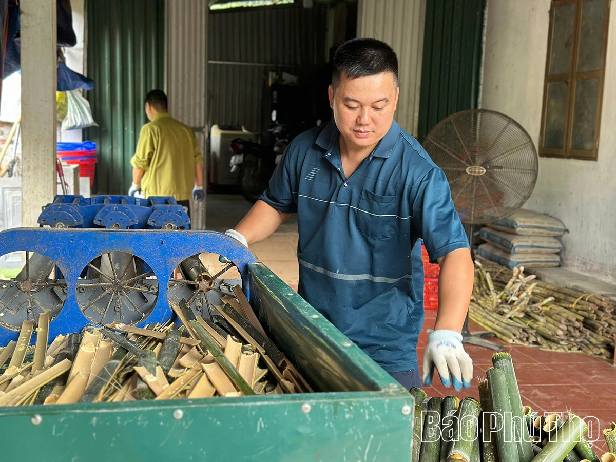 Khởi nghiệp từ nuôi dúi