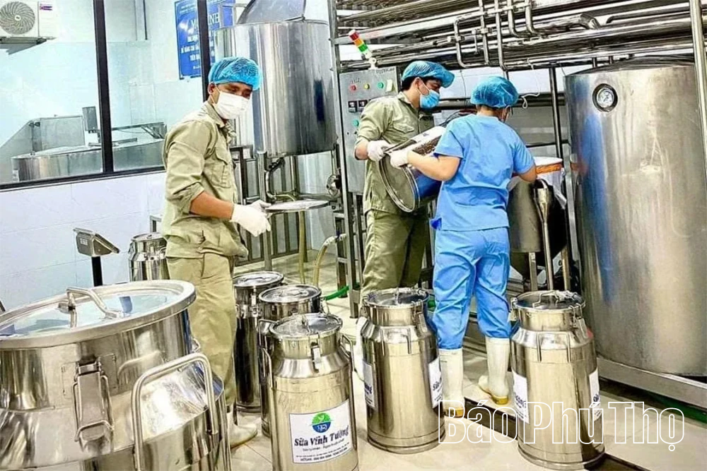 Hiện thực hóa khát vọng nâng tầm nông sản địa phương