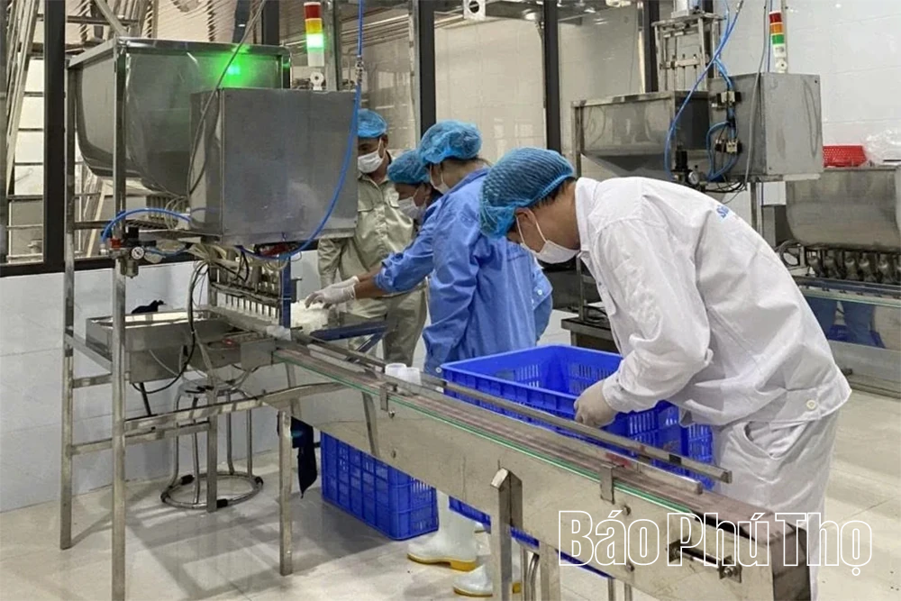 Hiện thực hóa khát vọng nâng tầm nông sản địa phương