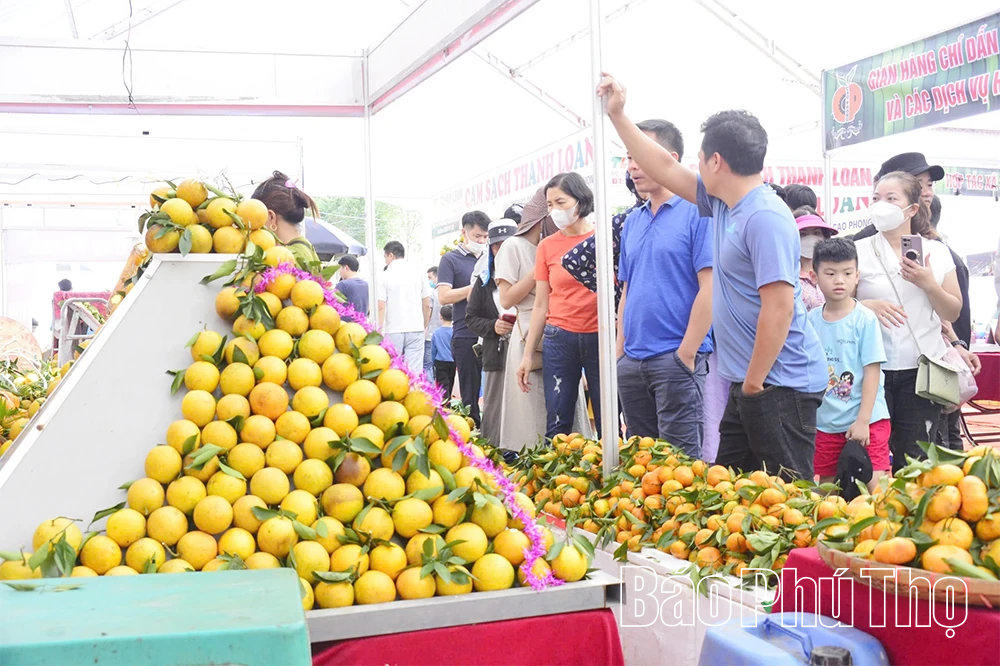 Kỳ 1 - Thời hoàng kim - Những mùa vàng rực rỡ