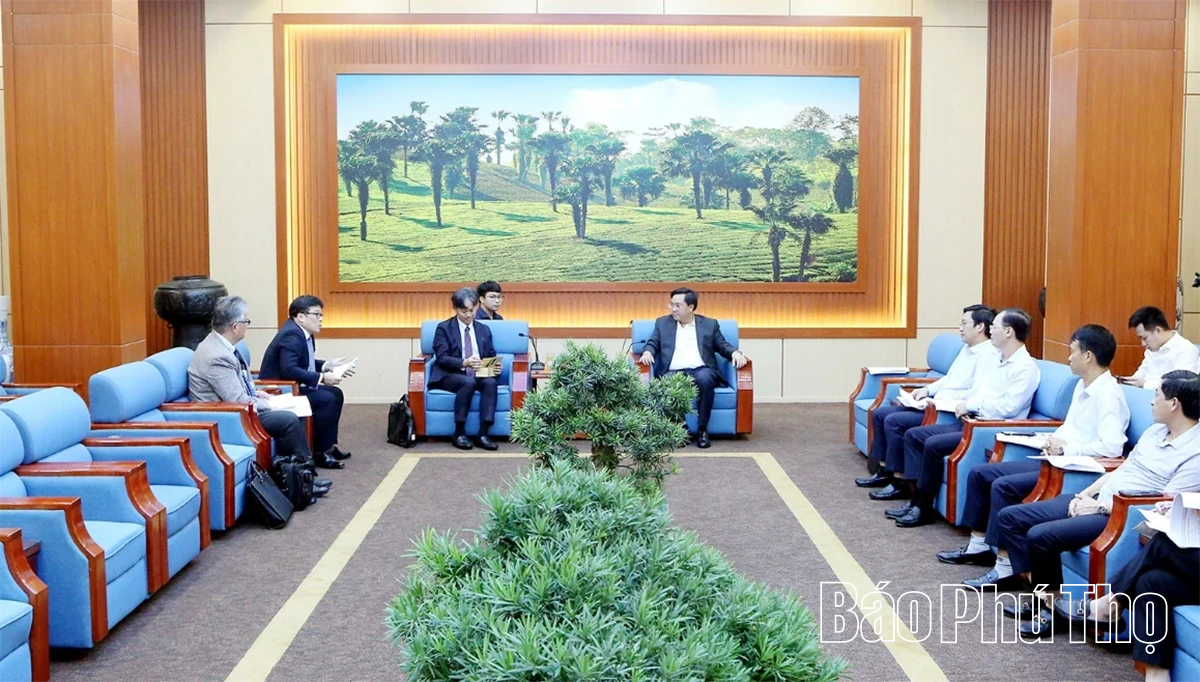 Chủ tịch UBND tỉnh Trần Duy Đông làm việc với Công ty Cổ phần Colowide MD, Nhật Bản và Công ty TNHH N&V Bridge