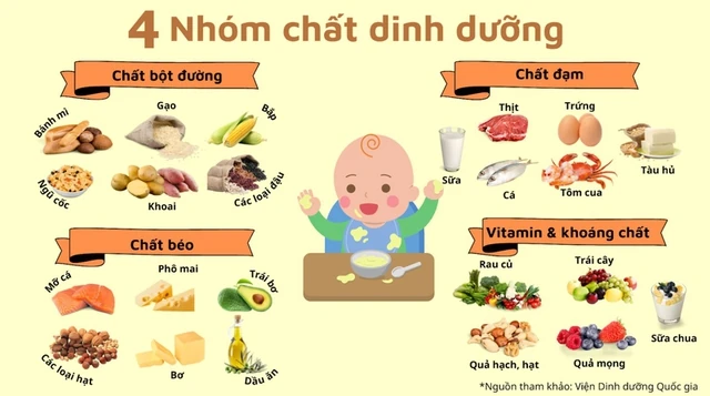 Cân bằng 4 nhóm chất trong bữa ăn của trẻ: Nền tảng cho bé phát triển toàn diện- Ảnh 1. Cân bằng 4 nhóm chất trong bữa ăn của trẻ: Nền tảng cho bé phát triển toàn diện
