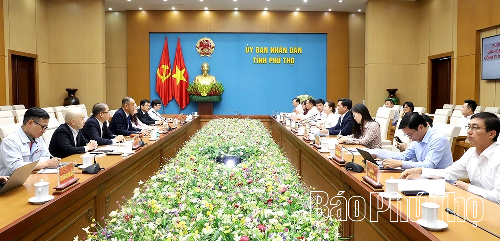 Chủ tịch UBND tỉnh Trần Duy Đông tiếp và làm việc với lãnh đạo Công ty Ô tô Toyota Việt Nam