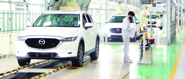 Sải cánh tung bay giữa bầu trời tự do