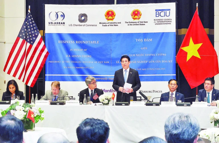 Sải cánh tung bay giữa bầu trời tự do